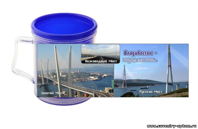 Кружка пластик «Владивосток - город мостов»