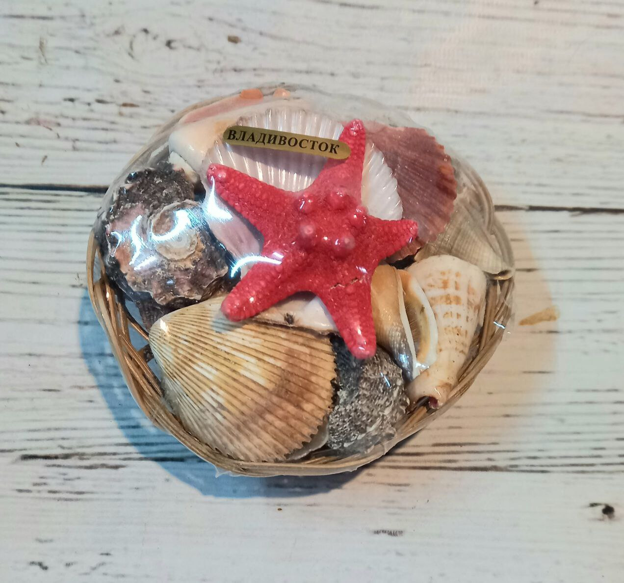 Набор ракушек в корзинке